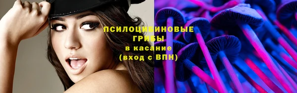 apvp Баксан